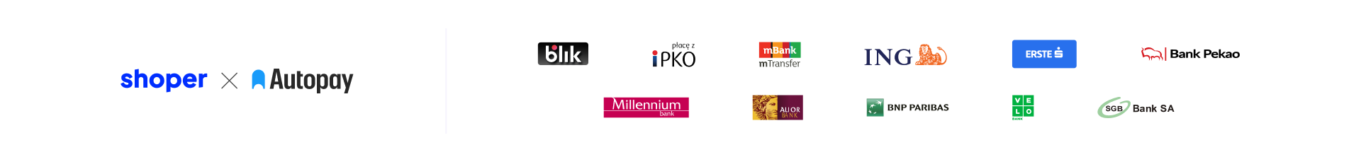 Płatności Shoper